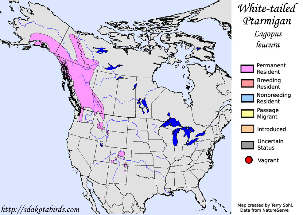 White-tailed Ptarmigan - North American Range Map