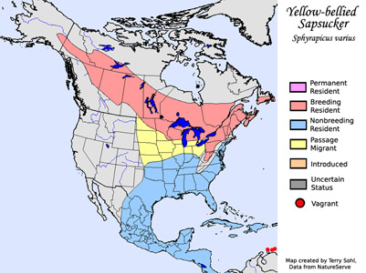 Yellow-bellied Sapsucker - Range Map