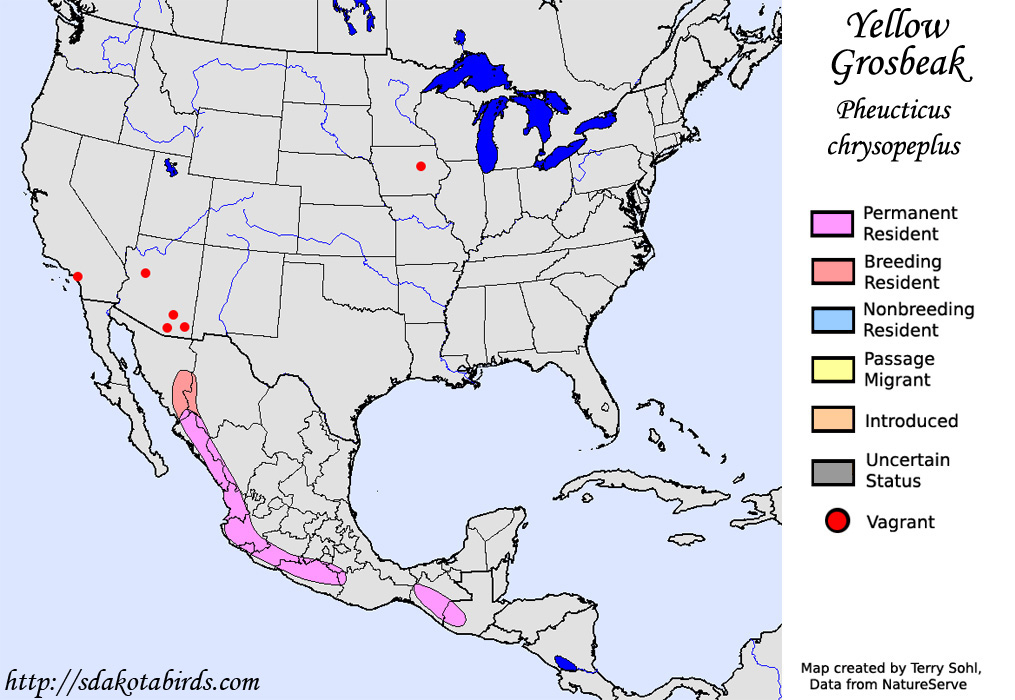 Yellow Grosbeak - North American Range Map