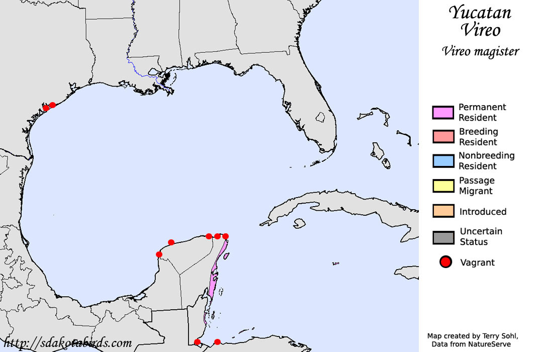 Yucatan Vireo - North American Range Map